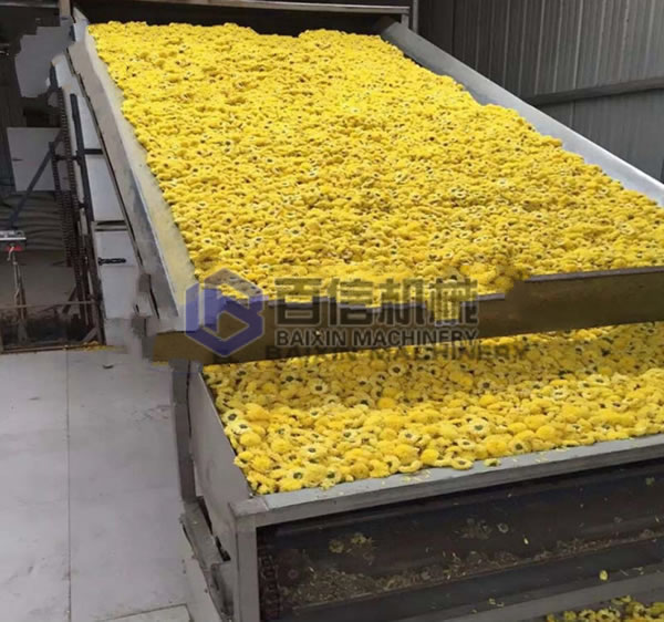 菊花烘干機設(shè)備案例