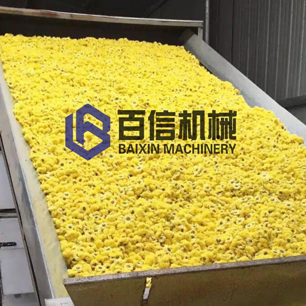 菊花烘干機現(xiàn)場